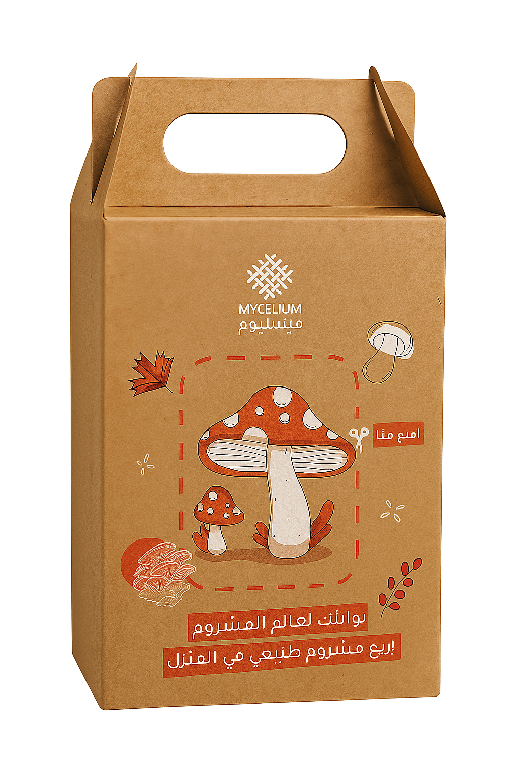 Mushroom Growing Kit – Grow Organic Mushrooms at Home Mushroom Growing Kit – Grow Organic Mushrooms at Home