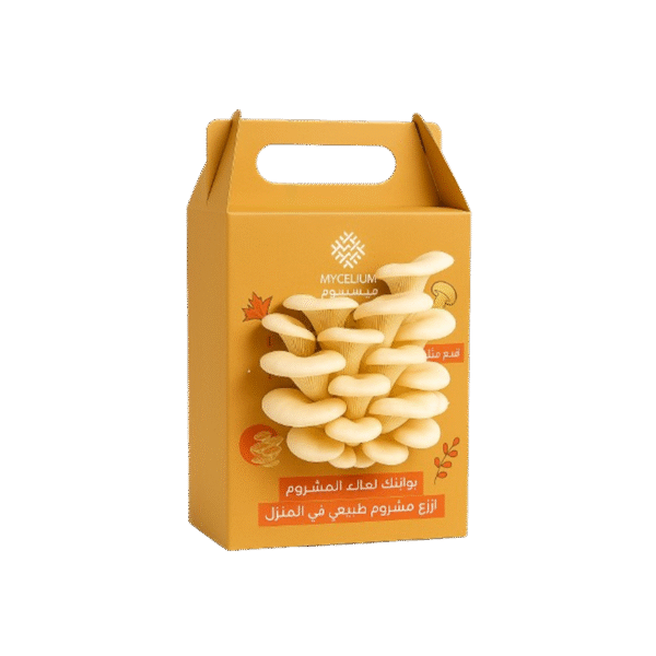 Mushroom Growing Kit – Grow Organic Mushrooms at Home-2