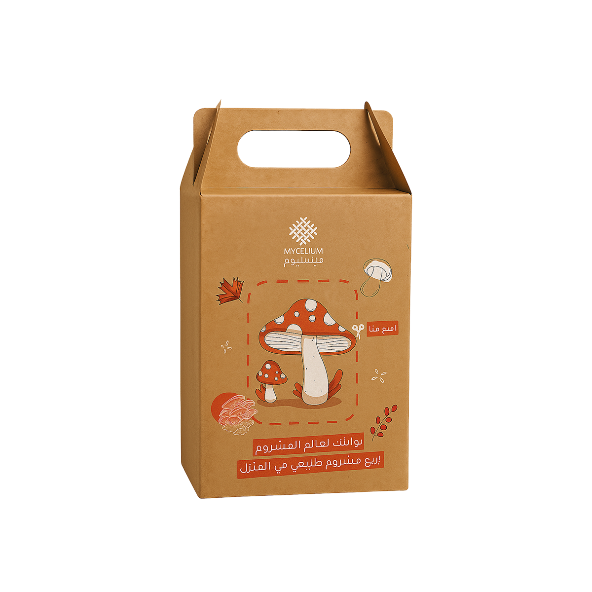 Mushroom Growing Kit – Grow Organic Mushrooms at Home