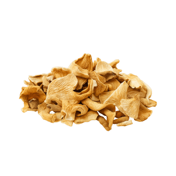 Best Dried Oyster Mushroom – 100% Organic | Long Shelf Life in 3 Simple Uses